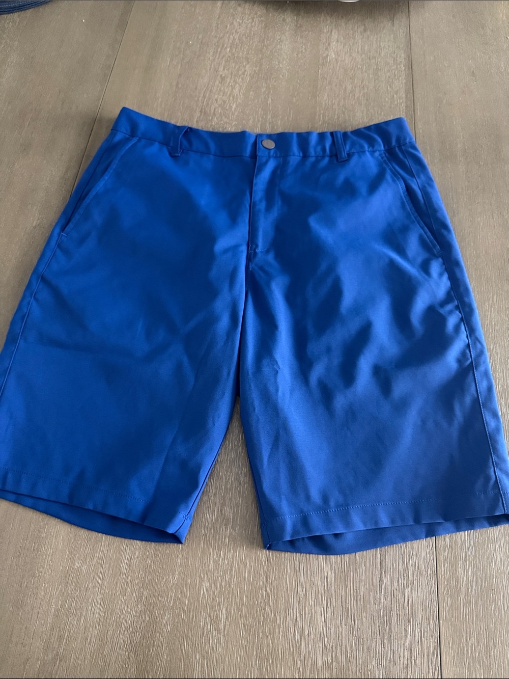 Puma Bright Blue Men's Athletic Shorts